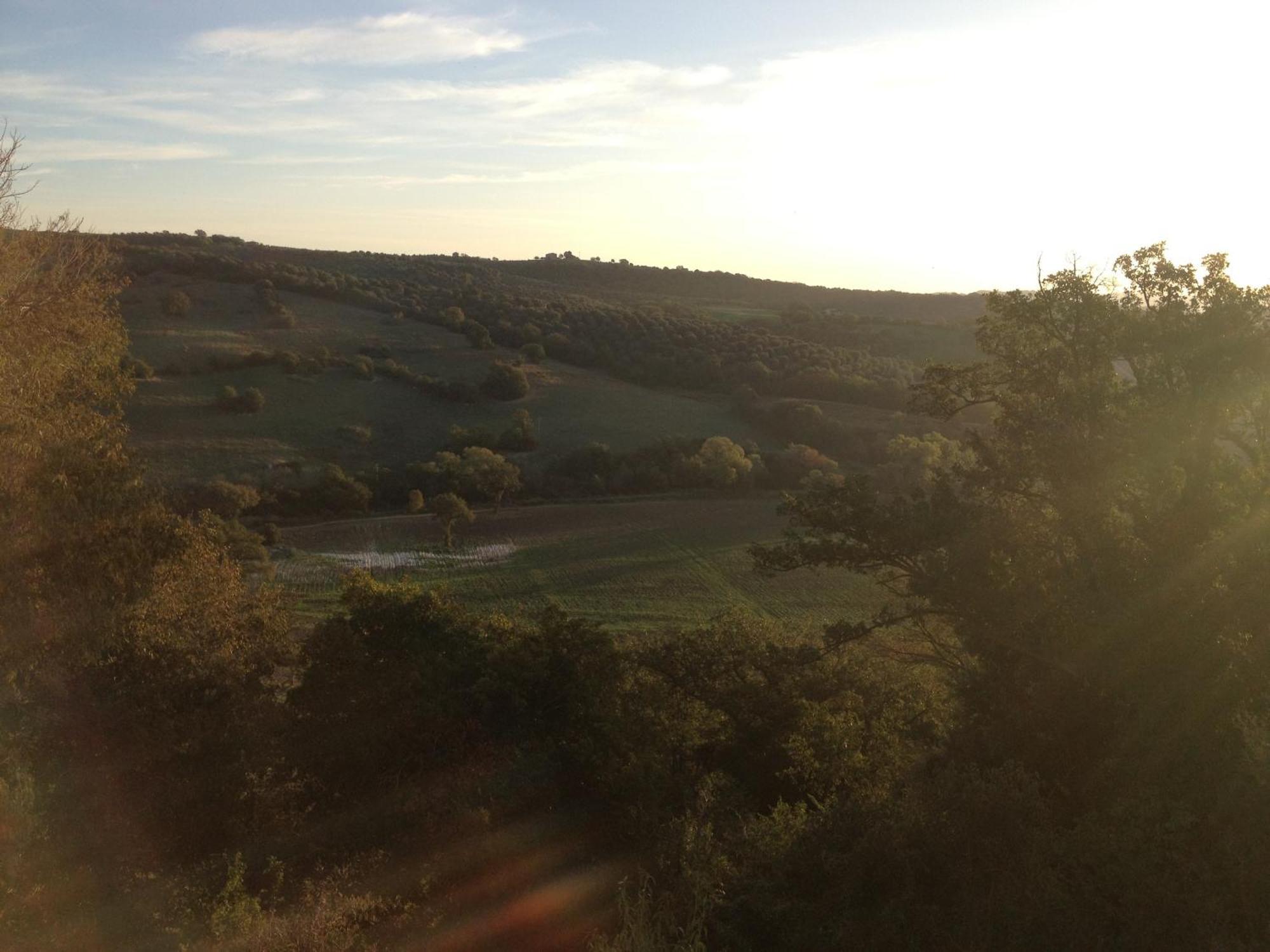 Le Tartarughe Rooms Magliano in Toscana Exterior photo