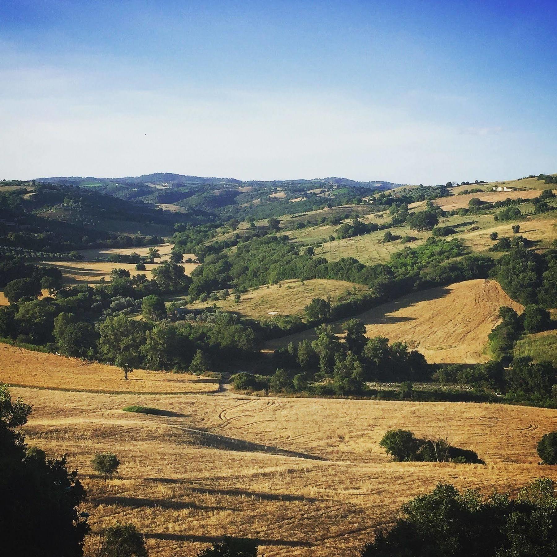 Le Tartarughe Rooms Magliano in Toscana Exterior photo