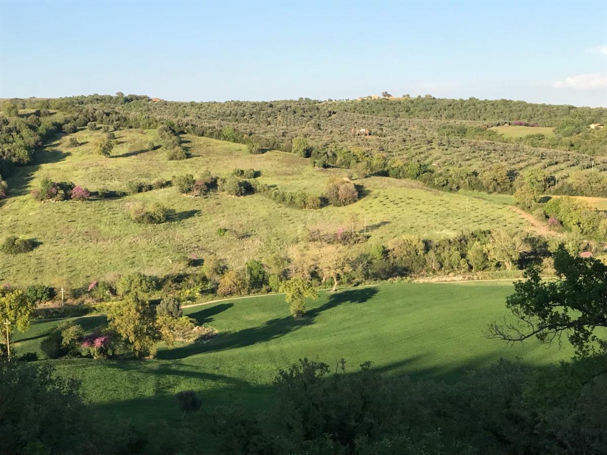 Le Tartarughe Rooms Magliano in Toscana Exterior photo